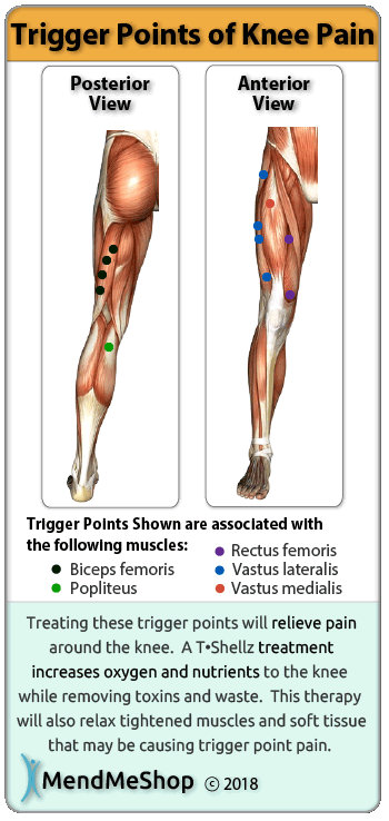 Human body trigger points result from toxins and waste build up in a tight muscle.